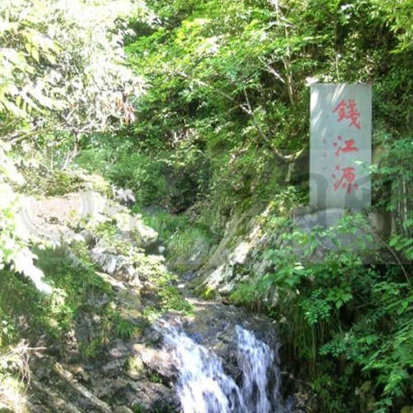 钱江源